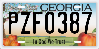 GA license plate PZF0387