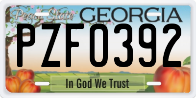 GA license plate PZF0392