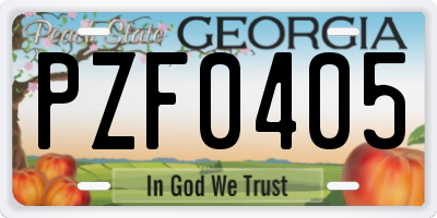 GA license plate PZF0405