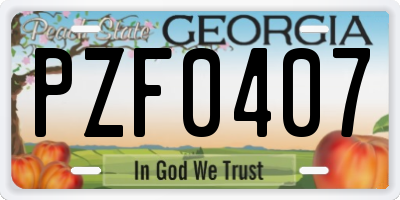 GA license plate PZF0407