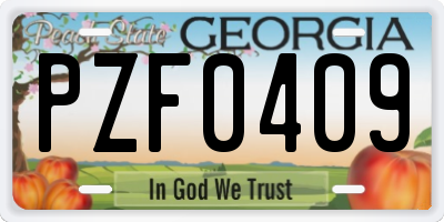 GA license plate PZF0409