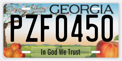 GA license plate PZF0450
