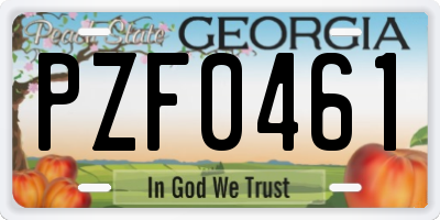 GA license plate PZF0461