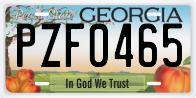 GA license plate PZF0465