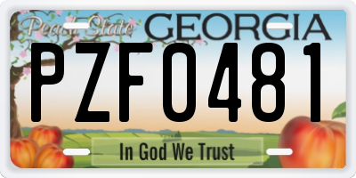 GA license plate PZF0481
