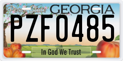 GA license plate PZF0485