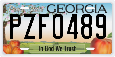 GA license plate PZF0489