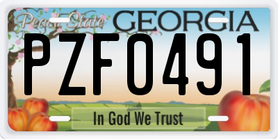 GA license plate PZF0491