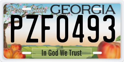 GA license plate PZF0493