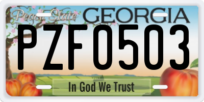 GA license plate PZF0503