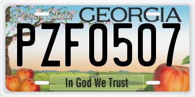 GA license plate PZF0507