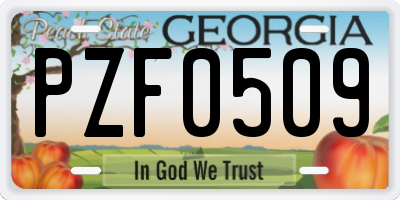 GA license plate PZF0509
