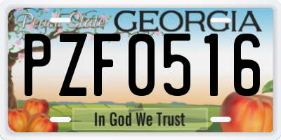GA license plate PZF0516