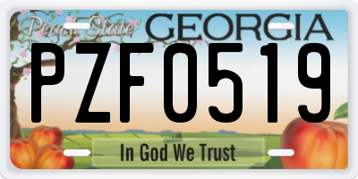 GA license plate PZF0519