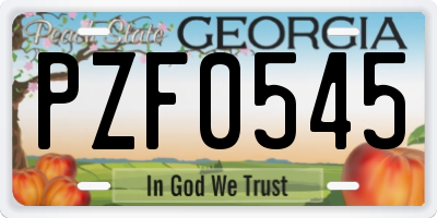 GA license plate PZF0545