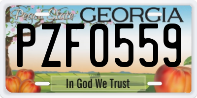 GA license plate PZF0559