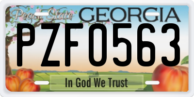 GA license plate PZF0563
