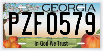 GA license plate PZF0579