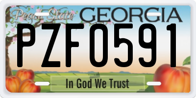 GA license plate PZF0591