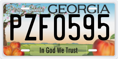 GA license plate PZF0595