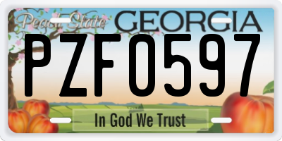 GA license plate PZF0597
