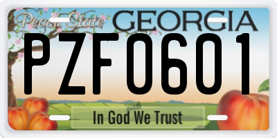 GA license plate PZF0601