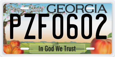 GA license plate PZF0602