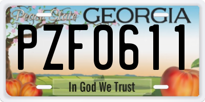 GA license plate PZF0611