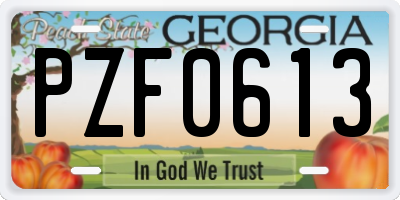 GA license plate PZF0613