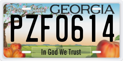 GA license plate PZF0614
