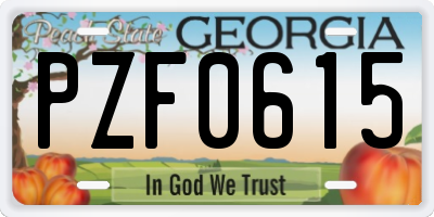 GA license plate PZF0615