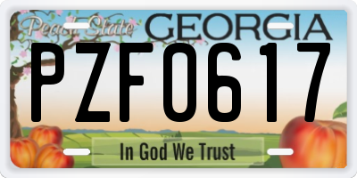 GA license plate PZF0617