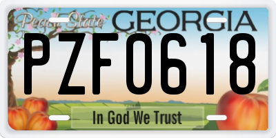 GA license plate PZF0618