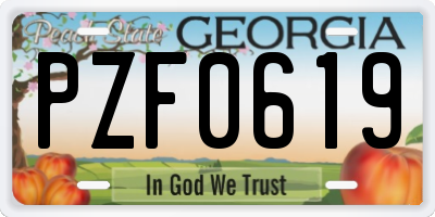 GA license plate PZF0619