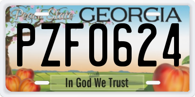 GA license plate PZF0624