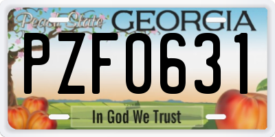GA license plate PZF0631