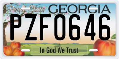 GA license plate PZF0646