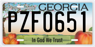 GA license plate PZF0651