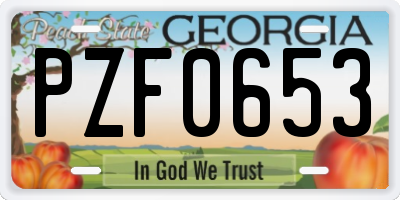 GA license plate PZF0653