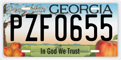GA license plate PZF0655