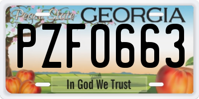 GA license plate PZF0663