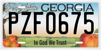 GA license plate PZF0675