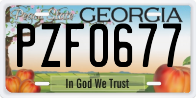 GA license plate PZF0677