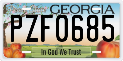 GA license plate PZF0685