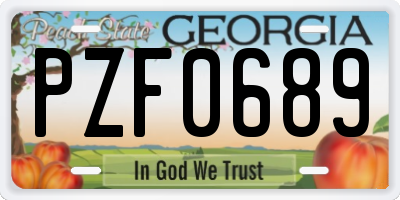 GA license plate PZF0689
