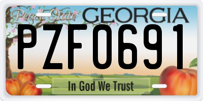 GA license plate PZF0691