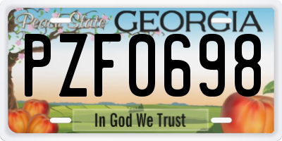 GA license plate PZF0698