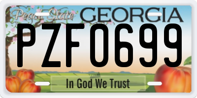 GA license plate PZF0699