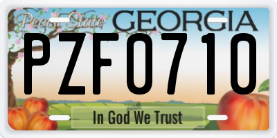 GA license plate PZF0710