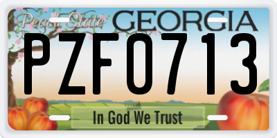 GA license plate PZF0713